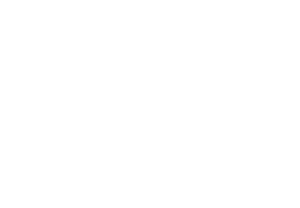 EMC protection icon